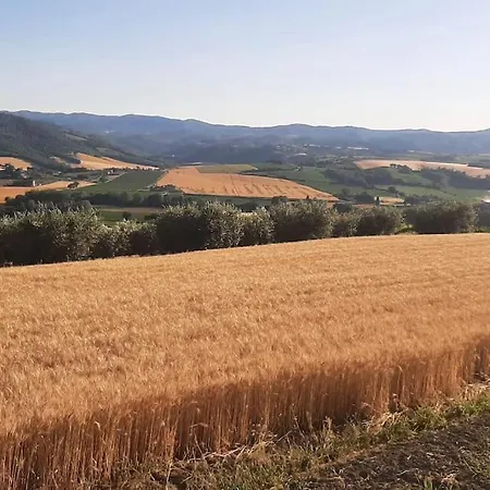 Il Giglio Perlato *